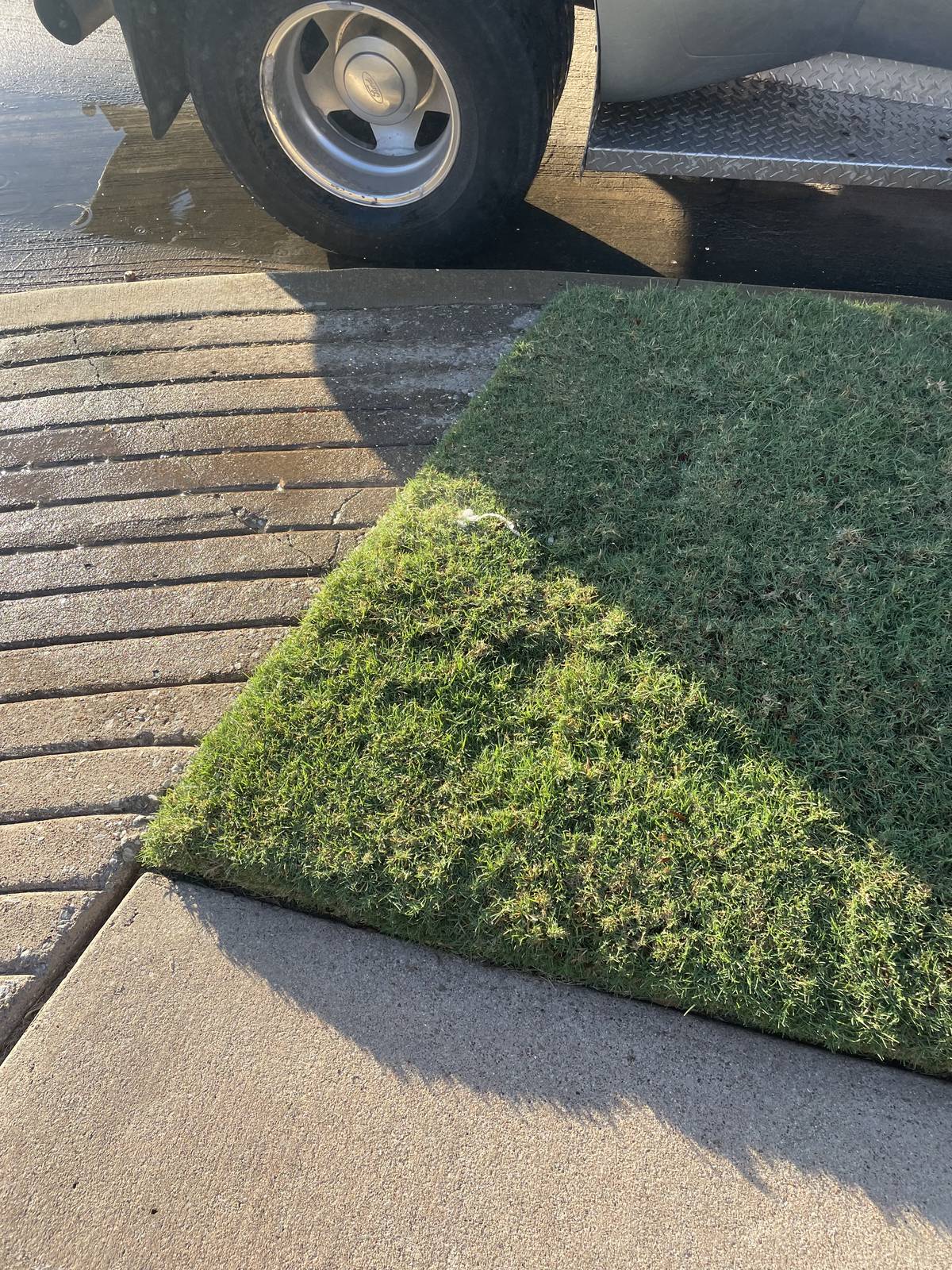 Corner of a Keller, Texas lawn at the driveway edge, with water on the pavement during a sprinkler repair visit